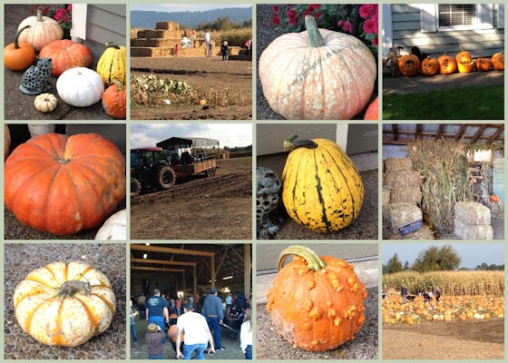 Mosaic Monday - Trip To A Pumpkin Farm